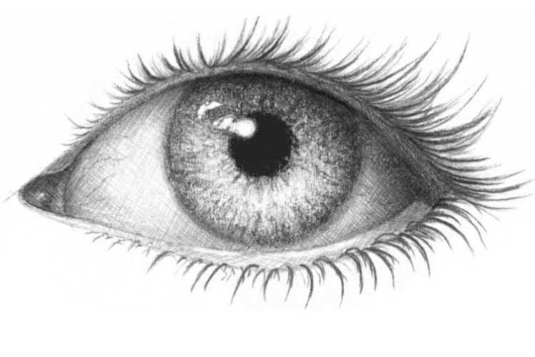 Eyelashes Drawing Images