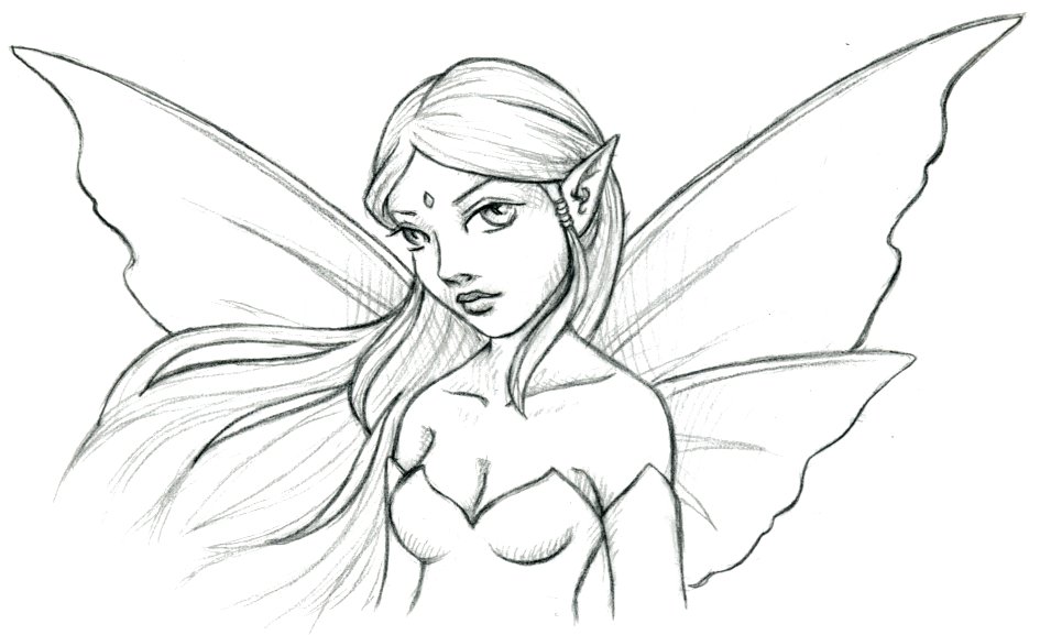 Fairy Drawing Best