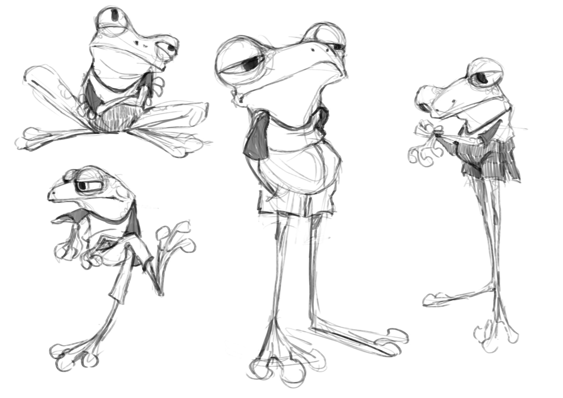 Frog Drawing Photo