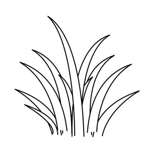 Grass Art Drawing