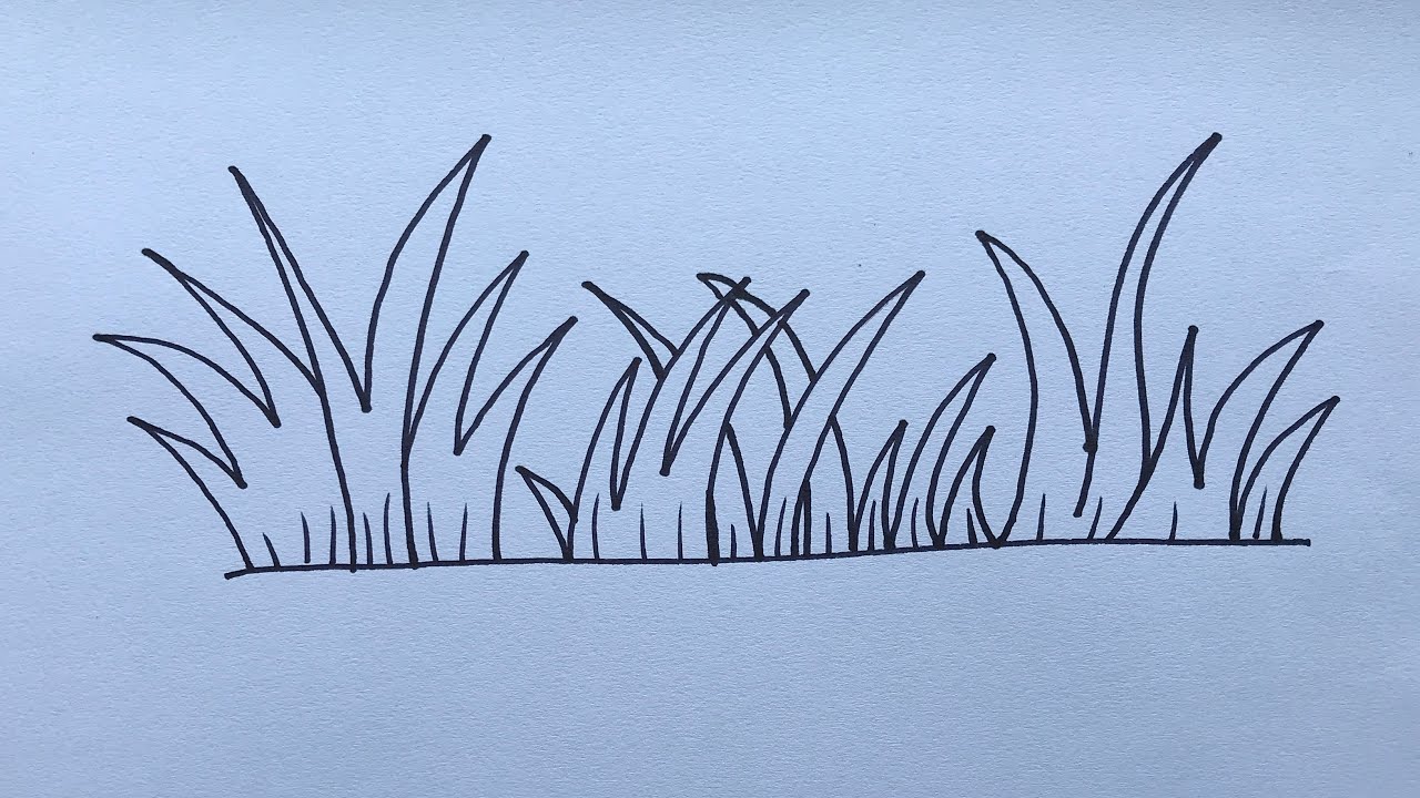 Grass Best Drawing