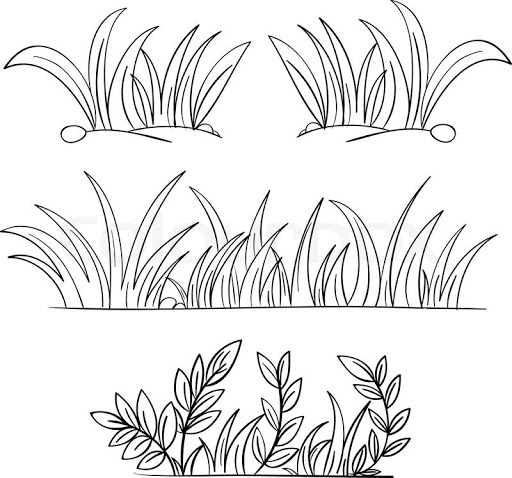 Grass Drawing High-Quality
