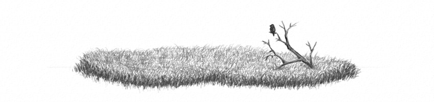 Grass Drawing Images
