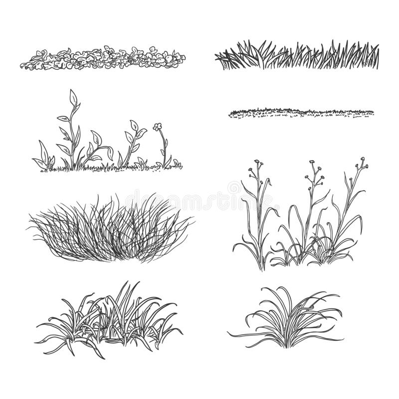 Grass Drawing Photo