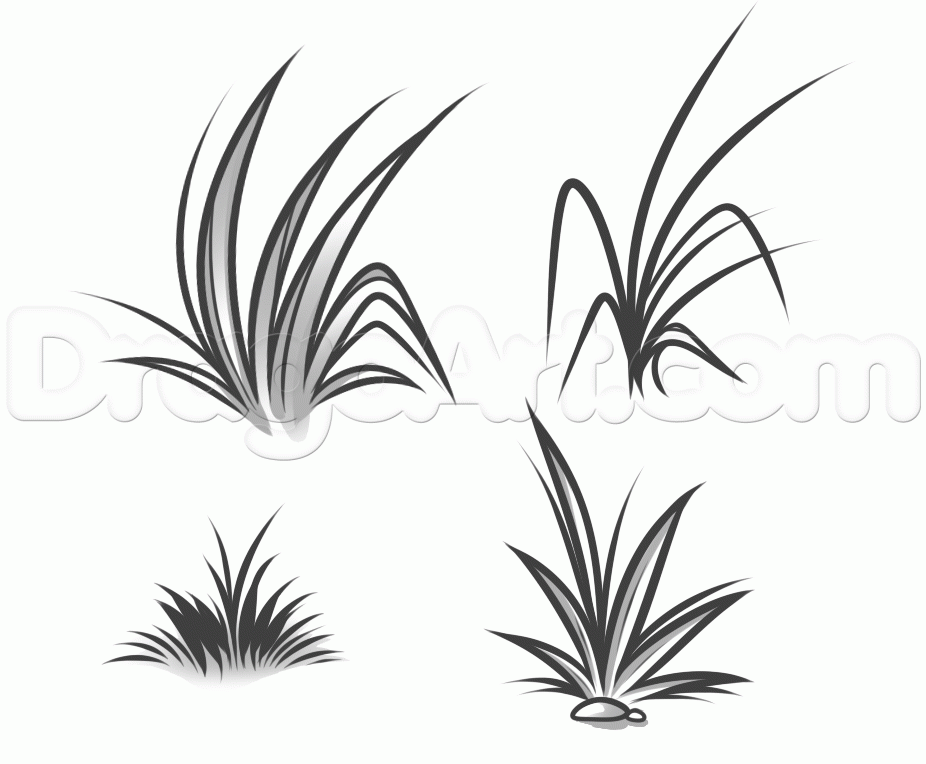 Grass Drawing Pic