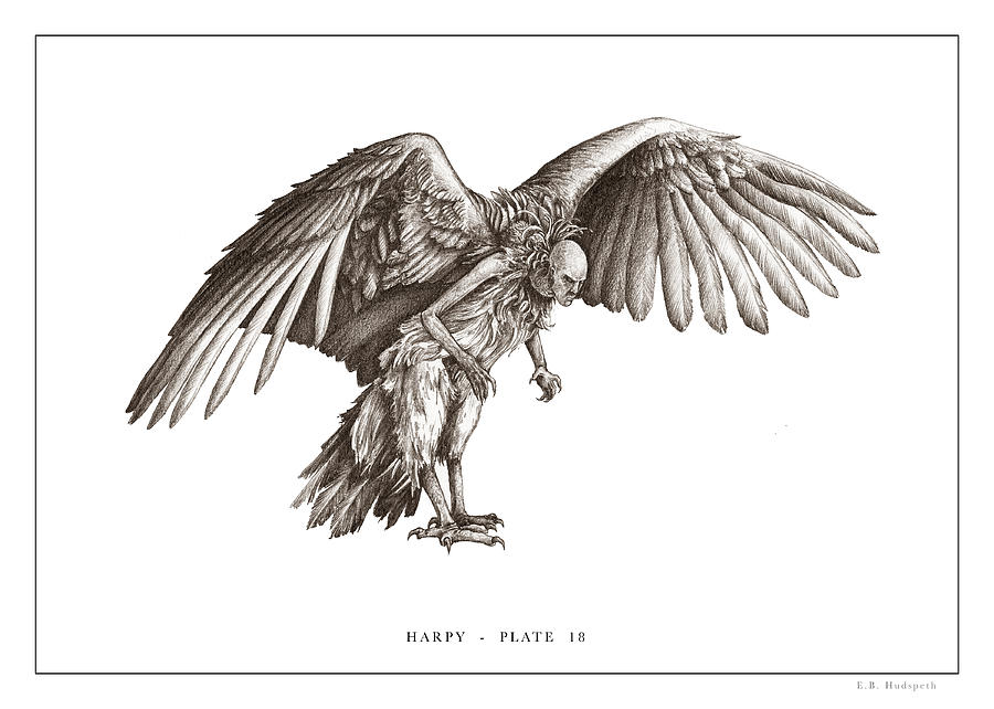 Harpy Drawing Image