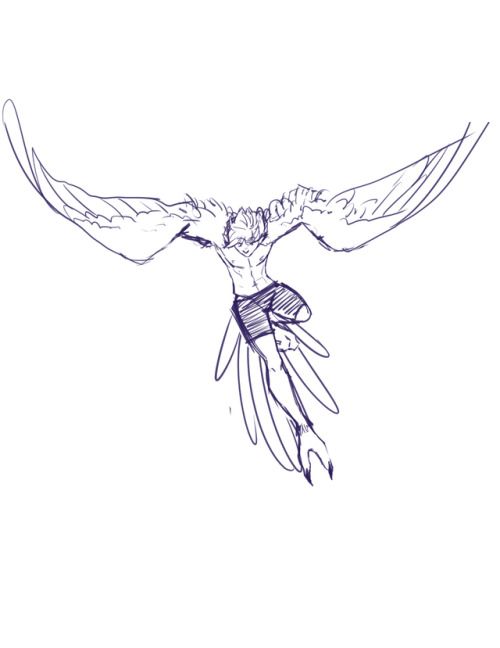 Harpy Drawing Images