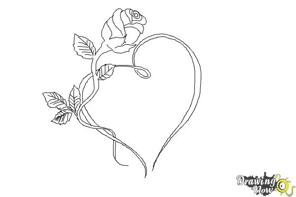 Heart And Rose Best Drawing