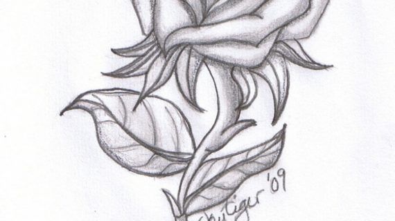 Heart And Rose Drawing Images