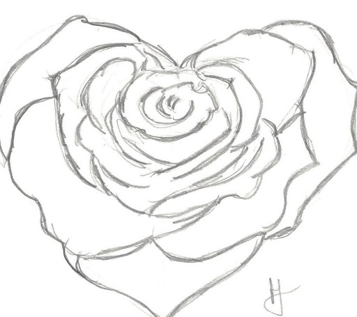 Heart And Rose Drawing Photo
