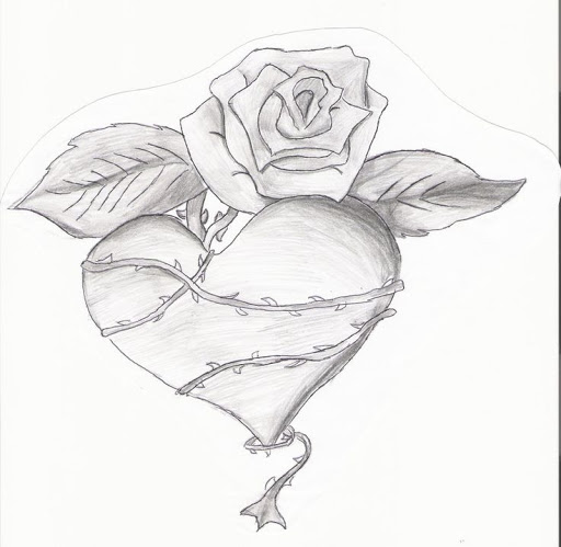 Heart And Rose Drawing Pic