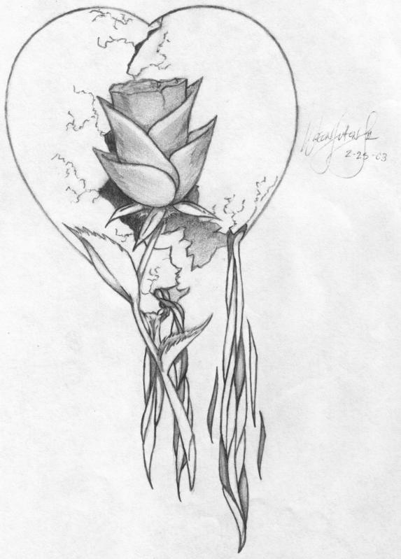 Heart And Rose Drawing Pics