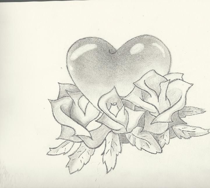 Heart And Rose Drawing Pictures