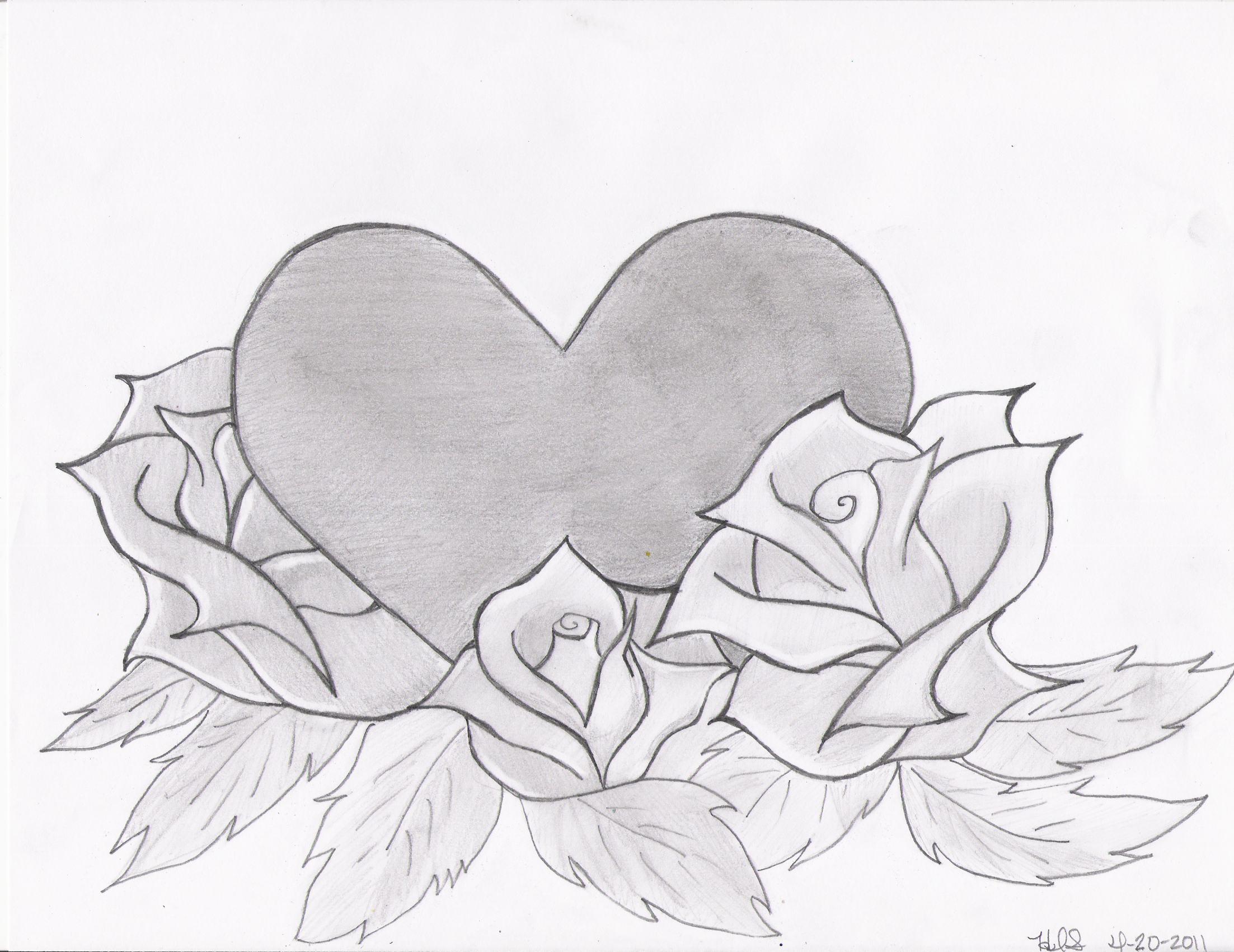 Heart And Rose Drawing