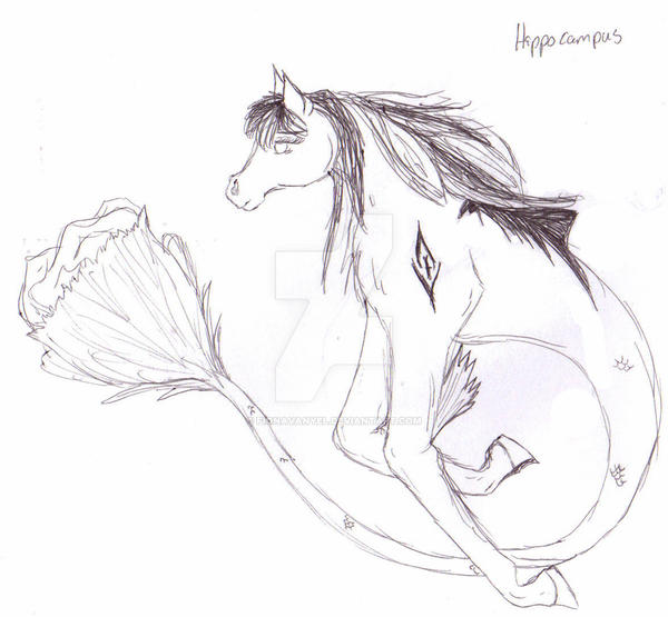 Hippocampus Drawing Art
