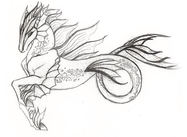 Hippocampus Drawing Beautiful Art