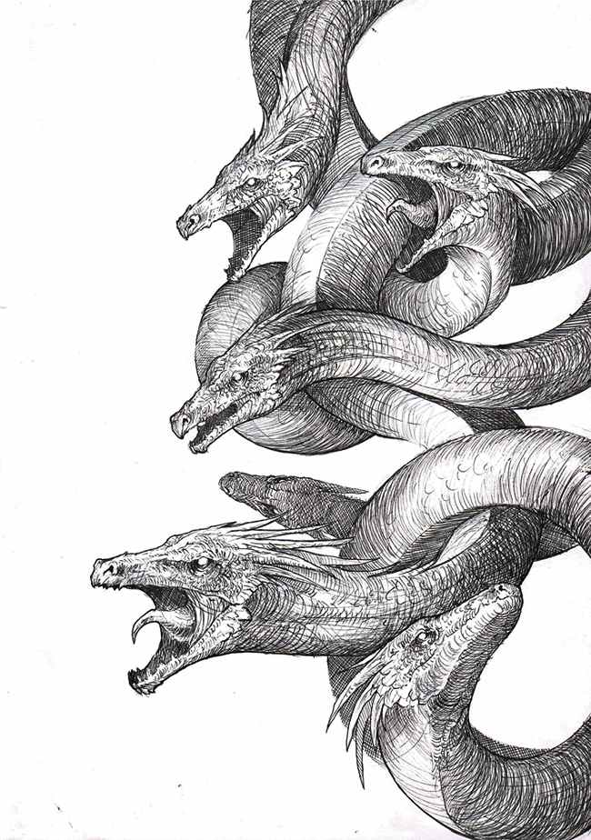 Hydra Drawing Sketch