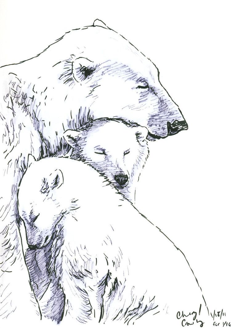 Ice Bear Drawing Realistic