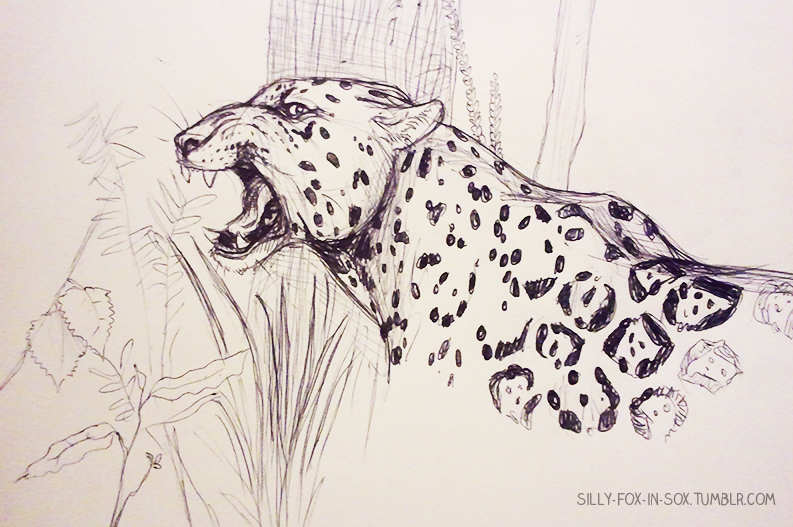 Jaguar Drawing Photo