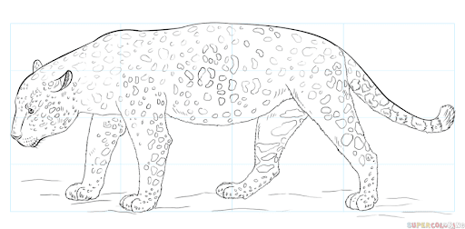 Jaguar Drawing