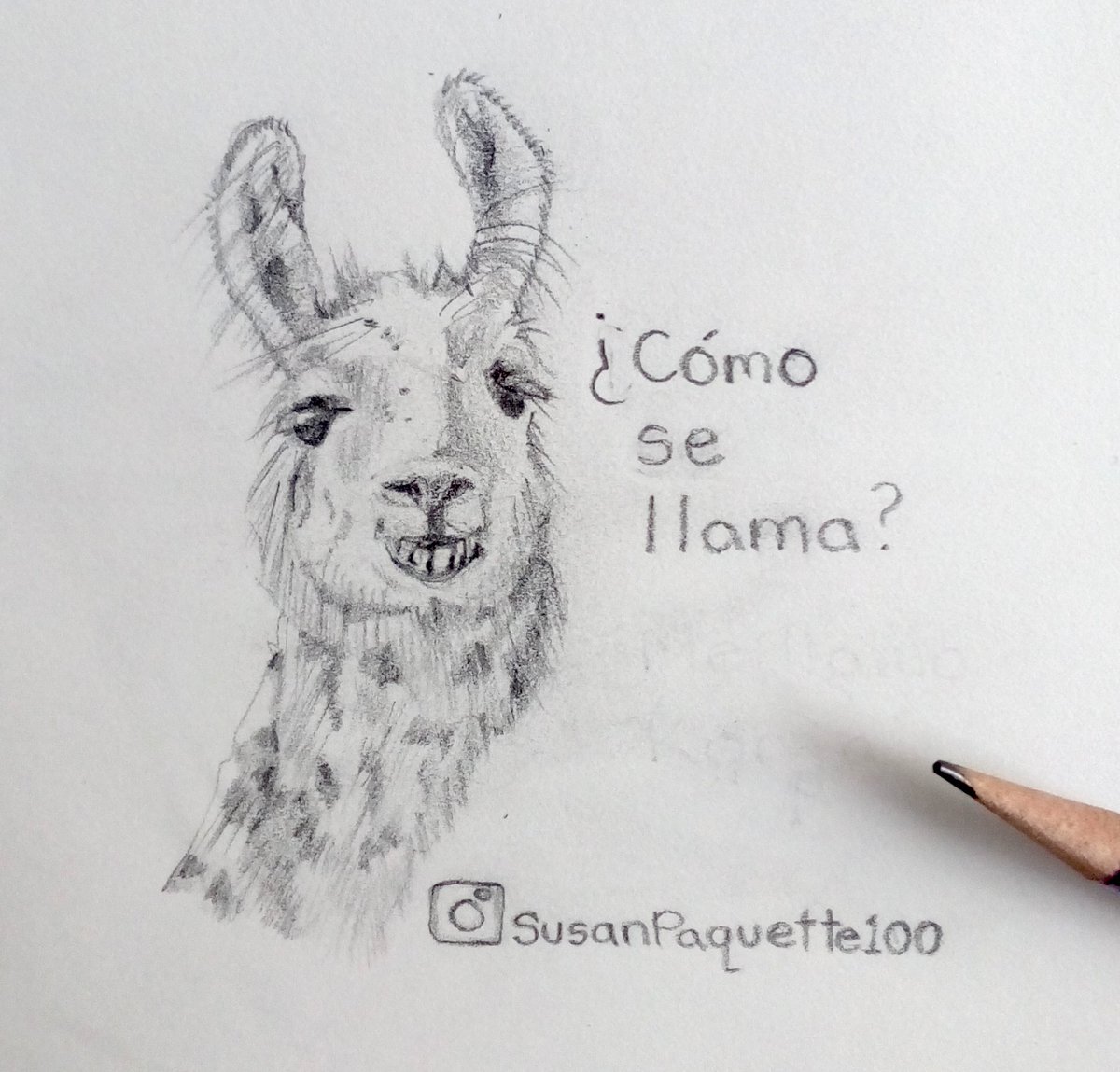 Llama Drawing Amazing