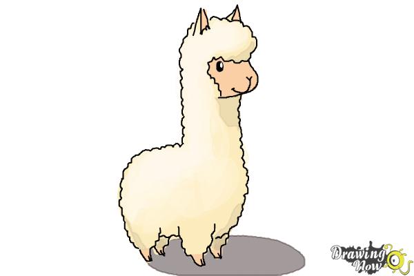 Llama Drawing Best