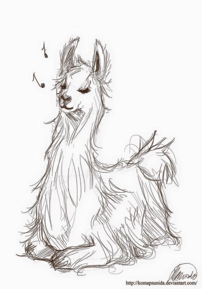 Llama Drawing Picture