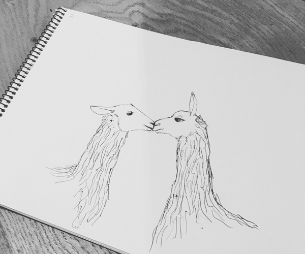 Llama Drawing Realistic