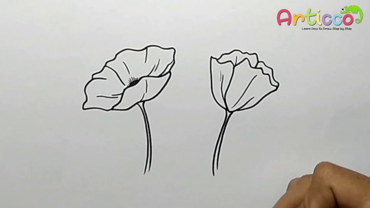 Poppy Best Drawing