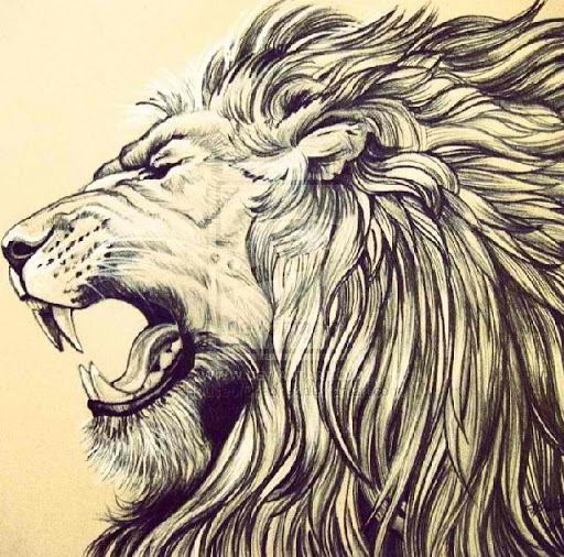 Rasta Lion Drawing Beautiful Image