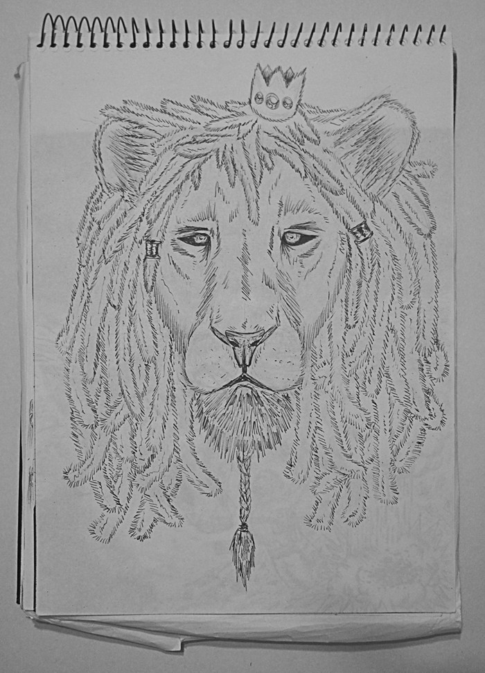 Rasta Lion Drawing Photo