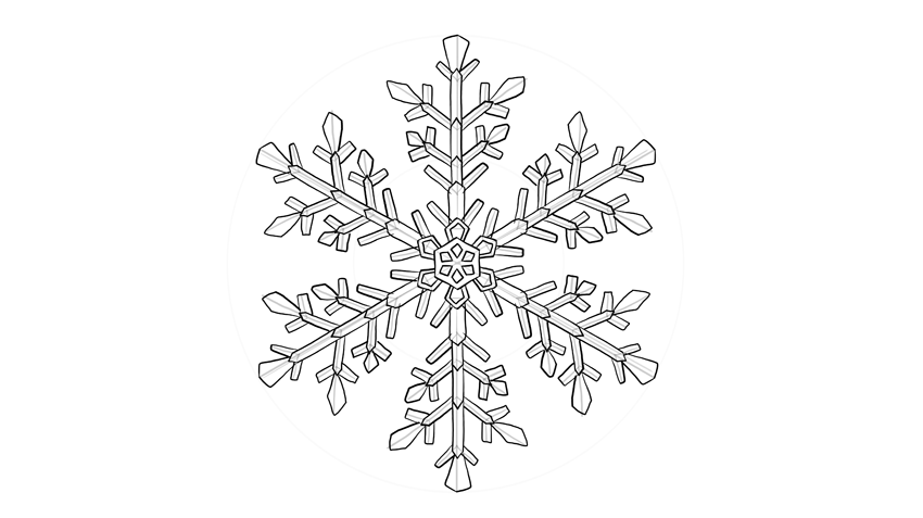 Snowflakes Drawing Photo