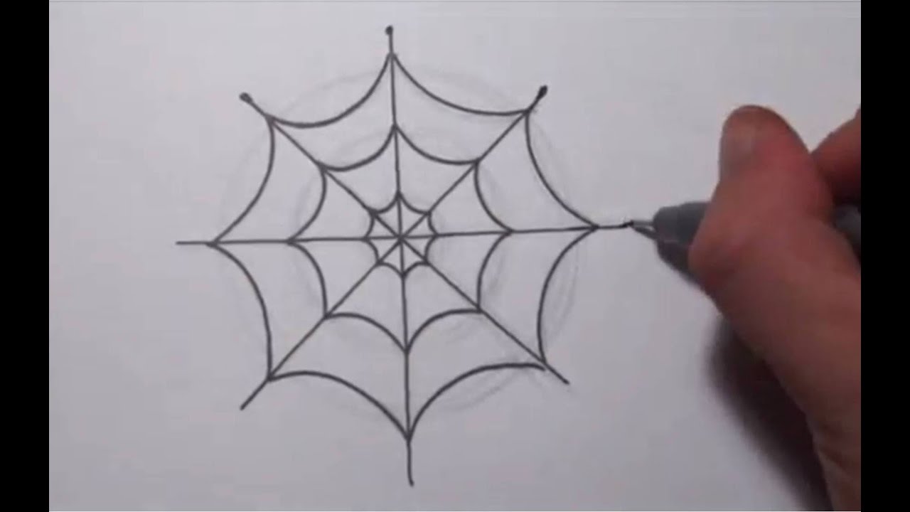Spider Web Drawing Image