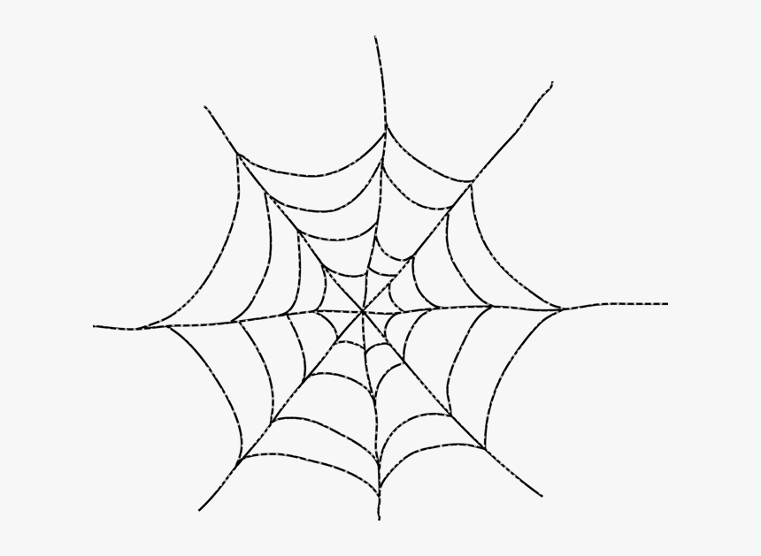 Spider Web Drawing Photo