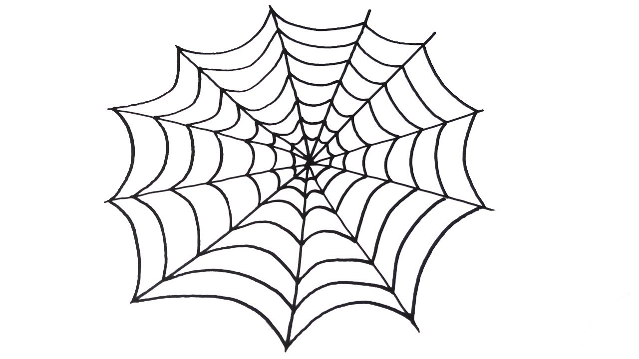 Spider Web Drawing Pic