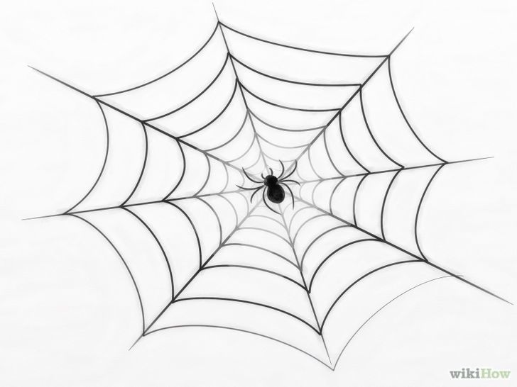 Spider Web Drawing Sketch