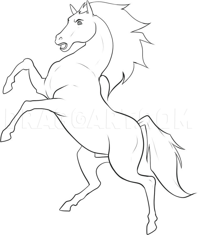 Stallion Drawing Art