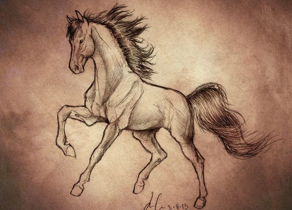 Stallion Drawing High-Quality