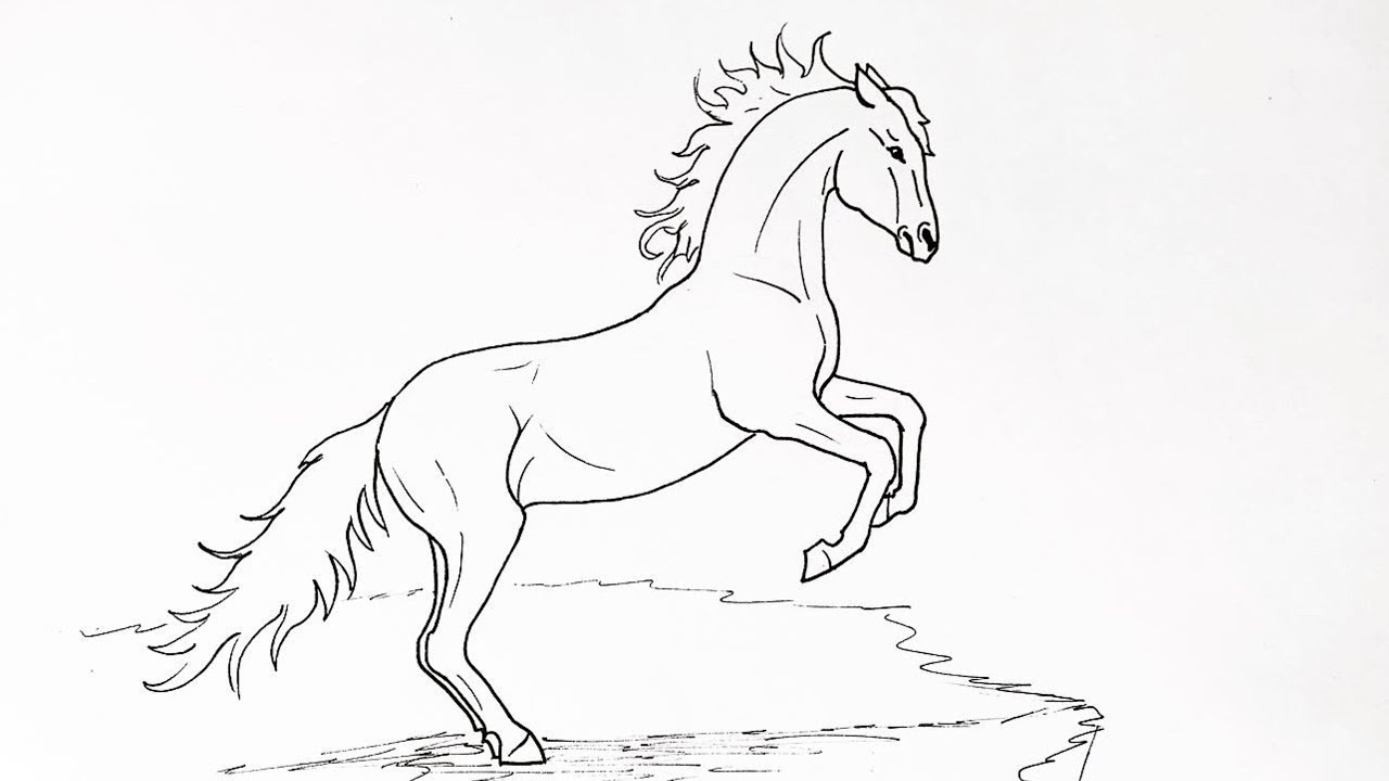 Stallion Drawing Image