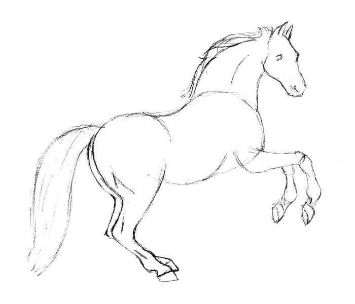 Stallion Drawing Picture