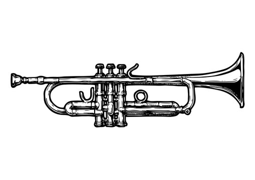 Trumpet Drawing Beautiful Image