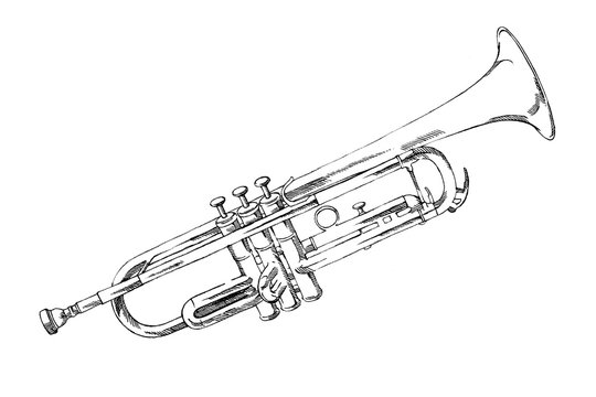 Trumpet Drawing Realistic