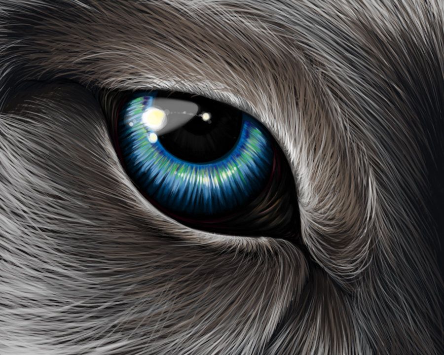 Werewolf Eyes Drawing Beautiful Image