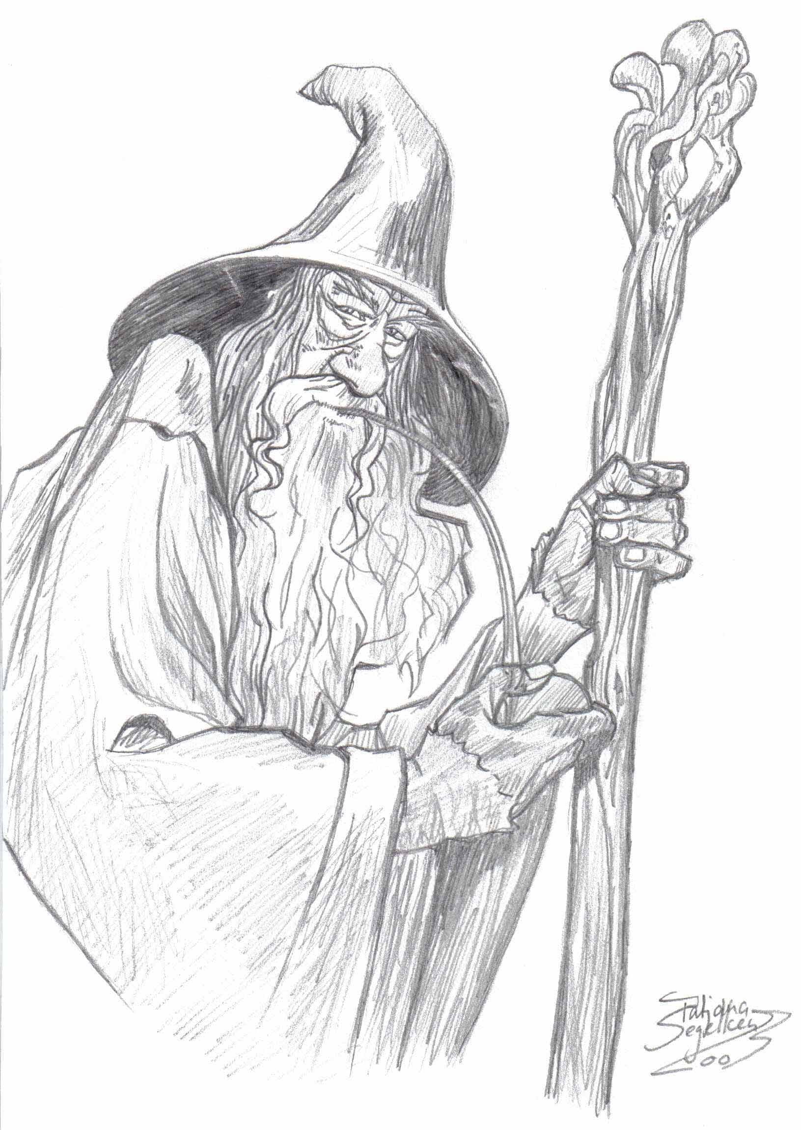 Wizard Drawing Realistic