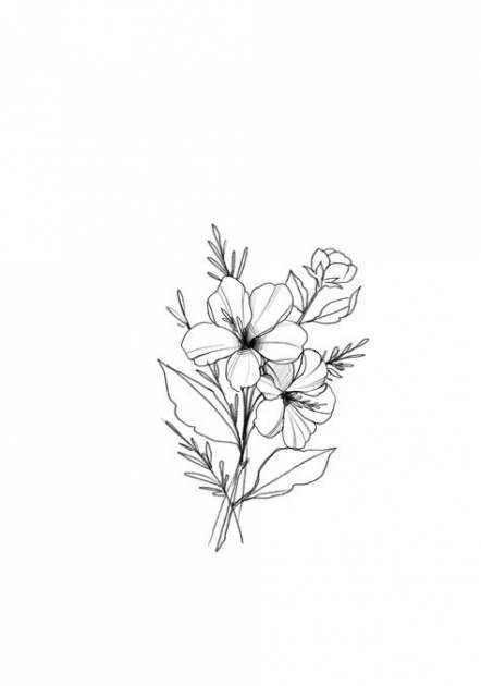 Aesthetic Flower Drawing Images