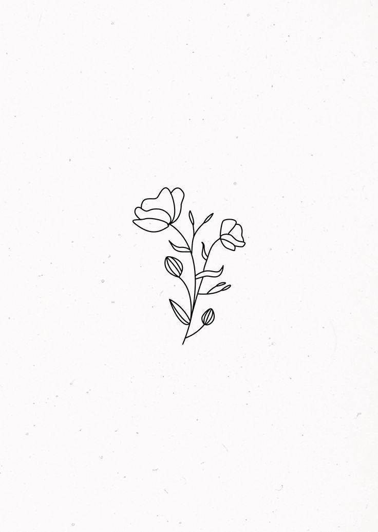 Aesthetic Flower Drawing Realistic