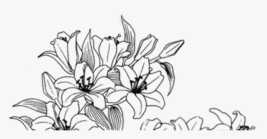 Aesthetic Flower Drawing