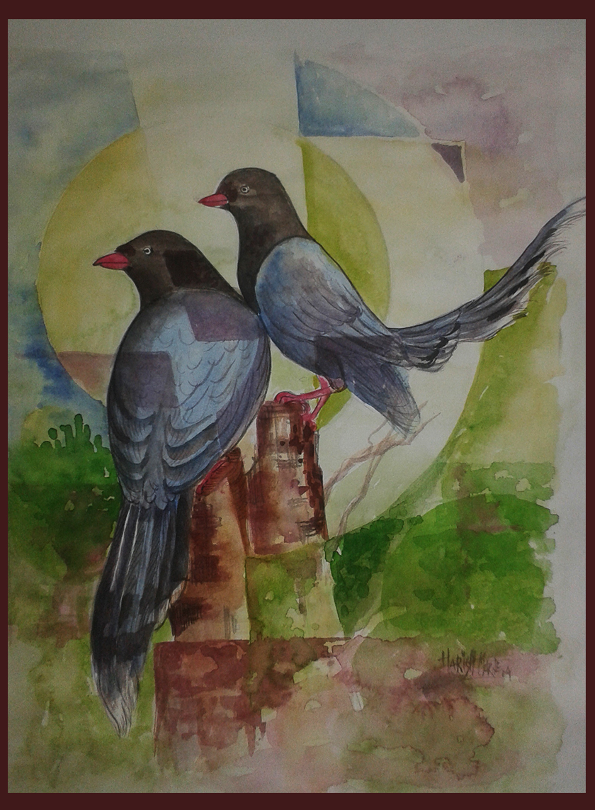 Bird Couple Drawing