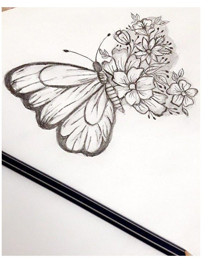 Butterfly Aesthetic Art Drawing