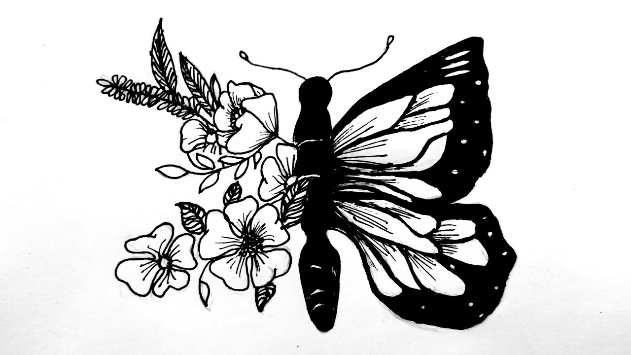 Butterfly Aesthetic Drawing Art